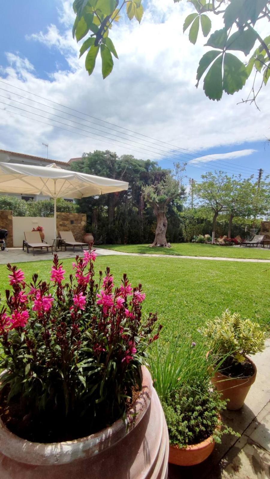 Coel Luxury Suites By Rentalspro Services - Potidea Halkidiki Неа Потидея Екстериор снимка